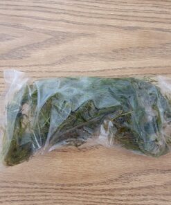 Microsorum Java Fern and Hornwort | Easy Low Light Aquarium Plants 38 81AQBmqsLAL