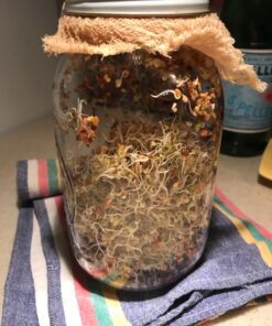 Todd's Seeds® Broccoli and Friends Sprouting Seed Mix, One Pound 36 81ASowyYDNL