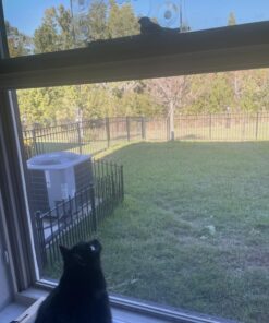 Large Clear Window Bird Feeder - Extended House with Strong Suction Cups - Steel Perch Sliding Feed Seed Tray - See Through Transparent Big Birdhouse - Wild Finch, Cardinal, Blue Jay - Cool Cat Gift 84 81AWfk6GgLL