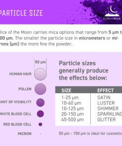 Slice of the Moon | Bronze Natural Mineral Mica Powder, 0.88oz (25g) | for Personal or Professional Use - Cosmetics, Epoxy Resin Projects, Nail Polish, Soaps, Bath Bombs, and Art Projects 0.98 Ounce (Pack of 1) 14 81AYEGRQbhL