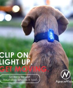 LED Safety Light (2 Pack) + Free Bonuses | Clip On Strobe/Running Lights for Runners, Dogs, Bike, Walking | The Best High Visibility Accessories for Your Reflective Gear, Bicycle etc Blue 25 81AbZAZzw3L