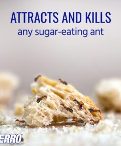 TERRO Liquid Ant Killer ll T200, 2 oz 33 81Ac15kgBpL