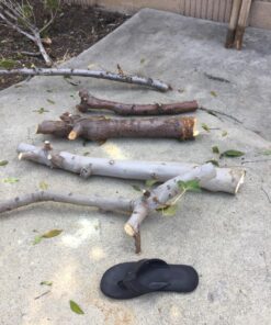 Bahco 396-LAP Laplander Folding Saw, 7-1/2 -Inch Blade, 7 TPI 36 81Ac2DDuz2L