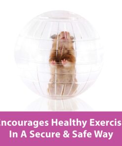 Alternative view of Kaytee 7" Clear Run-About Exercise Ball For Pet Hamsters & Gerbils 7"