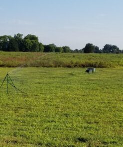 Orbit 58308Z Brass Impact Sprinkler on Tripod Base, Green (1) 1 19 81AiHuA1dOL