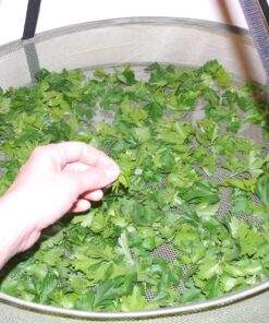 iPower GLDRYRD2L4 4Layer Green Mesh Hanging Herb Drying Rack Heavy Duty Ring for Hydroponic Plant, Free Storage Bag and Hook Included, 2Ft 4-Layer 18 81AiSMf13LL