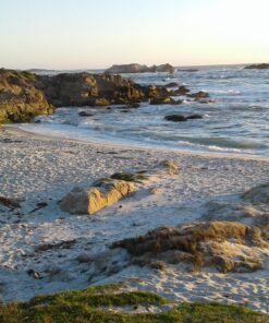 Samsung Galaxy Tab A 7"; 8 GB Wifi Tablet (Black) SM-T280NZKAXAR Black 73 81Ak71u2nL