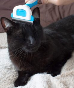 Paws & Pals Dog Brush - Gentle Soft Hair Rake Trimming Comb - Best for Shedding Dogs-Cats, Thick Long Short Haired Pet, Coat Grooming & Cat Hair Fur Removal - Self Cleaning - Deshedding Supplies 34 81AlE11MQyL