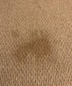 Blue Magic 900 Carpet Stain & Spot Lifter - 22 oz. Aerosol Can 35 81AtPzVuILL