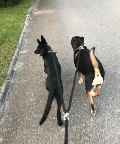 Dual Dog Leash - Double Dog Leash for Two Dogs - Tangle Free - Heavy Duty Double Ended Tandem Leash with Padded Handle for Small Medium or Large Dogs Black 37 81AttzwpkUL