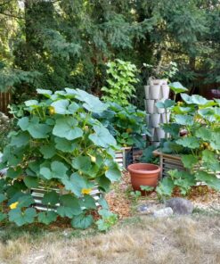 Sunnydaze 40-Inch Hexagon Galvanized Steel Raised Garden Bed Kit - Outdoor Metal Planter for Plants and Vegetables - Silver 49 81Atz6WT7GL