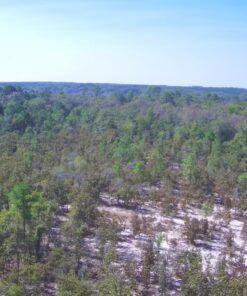 Holy Stone HS720R 3 Axis Gimbal GPS Drones with Camera for Adults 4K EIS; FPV RC Drone, Foldable Quadcopter with 10000 Feet Video Transmission Control Range, Brushless Motor, Follow Me, Auto Return 45 81AvK52BsqL