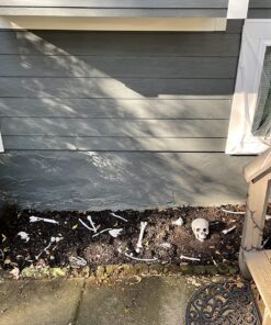 Kangaroo Halloween Bag of Skeleton Bones and Skull- Halloween Graveyard Props- Haunted House Lawn Yard Decorations- Scary Halloween Decorations 30 Pieces Bag of Plastic Bones 38 81AyG6kThsL