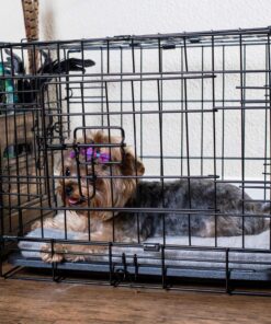 Dog Crates for Small Dogs - Dog Crate 20" Pet Cage Single-Door Best for Puppy & Kitten Pets - Wire Metal Kennel Cages with Tray - in-Door Foldable & Portable for Animal Out-Door Travel 20.0"L x 13.0"W x 16.0"H 26 81AzNPLykBL