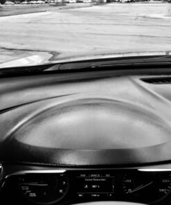 Stoner Car Care Trim Shine Protectant 22-Ounce 22.00 Fl Oz (Pack of 1) 36 81B1e7t3VtL