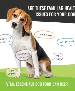 Vital Essentials Freeze Dried Dog Treats, Dog Snacks Made in The USA, All Natural Dog Treats, Great Training Treats for Dogs, Rabbit Bites 2.0 oz 2 Ounce (Pack of 1) 10 81B2CHnXxoL