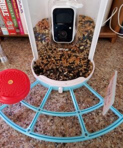 NETVUE Birdfy AI - Smart Bird Feeder with Camera + Solar Panel, Free AI Forever, Auto Capture & Identify 6000+ Bird Species, Bird Videos for Birdwatching, Ideal Gift for Bird Lover Solar Blue 38 81B3IQUApCL