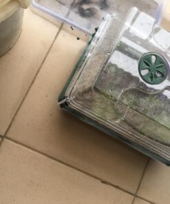 EarlyGrow 93763 Medium Seed and Herb Domed Propagator with Vented Side Height Extension, Extender, Green Medium with Side Extender 58 81B3tqwJmYL