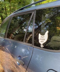 Crazy Chicken Lady 6" Vinyl Sticker DecalL43 Farm Life Farming Farmer Eggs Homegrown Rooster Hens Animals Pets 7 81BBtGUB1EL