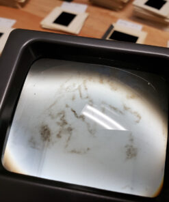 LED Lighted Illuminated 35mm Slide Viewer(2AA Batteries Included) 20 81BDlo3IPEL