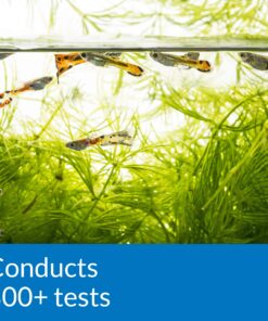 API FRESHWATER MASTER TEST KIT 800-Test Freshwater Aquarium Water Master Test Kit, White, Single, Multi-colored 36 81BFe4fN7ZL