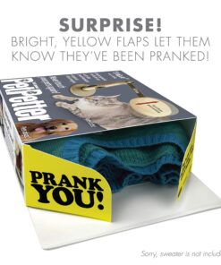 Prank Pack, Pet Petter Prank Gift Box, Wrap Your Real Present in a Funny Authentic Prank-O Gag Present Box | Novelty Gifting Box for Pranksters 11 81BH08Ko uL