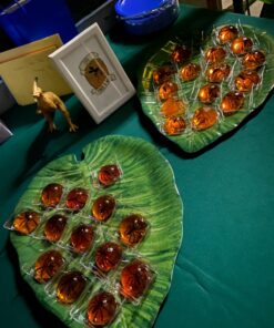 Fun Express - Plastic Spiders for Halloween - Toys - Character Toys - Misc Character Toys - Halloween - 144 Pieces 1 12 81BPzqaNPNL