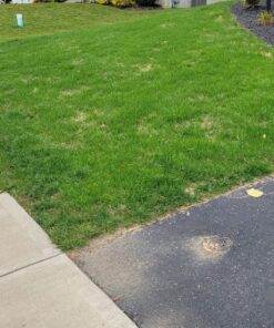 Scotts Turf Builder WinterGuard Fall Lawn Fertilizer for All Grass Types, 5,000 sq. ft., 12.5 lbs. 5,000 sq. ft. 36 81BTtErVGoL