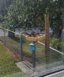 Nature's Way Bird Products CWF3 Cedar Platform Tray Bird Feeder 12" x 12" 12" x 12" 36 81BWnnRSQxL