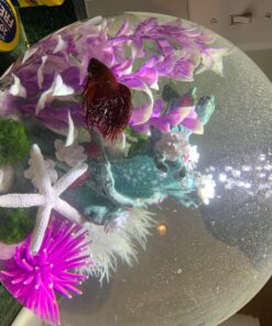 biOrb CLASSIC 15 Aquarium with LED - 4 gallon, Black 30 81BZPKv507L