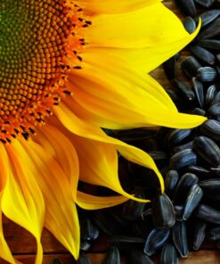 Alternative view of Exclusive Sunflower Seeds Ot Martina 500gr