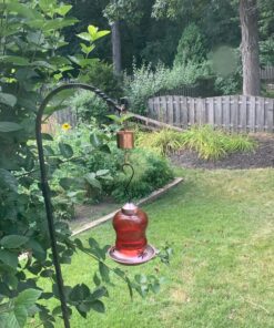 Skinny Ant Moat with Guard for Hummingbird Feeders - Gets Rid of Ants Fast in Nectar Feeder. All Natural & No Chemicals Needed. 37 81BaTj8vAWL