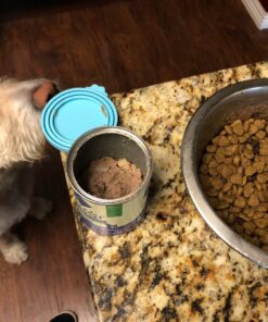 Blue Buffalo Basics Skin & Stomach Care, Natural Adult Dry Dog Food, Salmon & Potato 24-lb 24 Pound (Pack of 1) 35 81BavCPuxmL