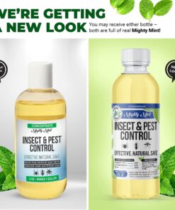 Mighty Mint Insect & Pest Control Peppermint Concentrate 8 oz - Makes 1 Gallon - Plant-Based Formula Kills and Prevents Spiders, Ants, Flying Insects, and More 26 81BfgGrs6kS