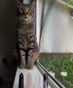 Healing Crystal Wands,2" Amethyst Crystal, Rose Quartz,Clear Quartz and Black Obsidian£¬6 Faceted Reiki Chakra Stones 4 pcs Pink,clear Quartz,black Obsidian,amethyst 2" Tall 72 81BgR4ETFqL