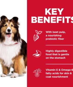 Hill's Science Diet Dry Dog Food, Adult, Sensitive Stomach & Skin, Chicken Recipe, 30 lb. Bag Chicken & Barley 30.00 Pound (Pack of 1) 25 81Bhb2zDwwL 2