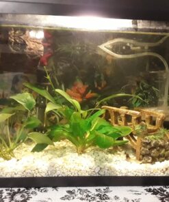 Seachem Flourish Tabs Growth Supplement - Aquatic Plant Stimulant 10 ct 28 81BhttzY9rL