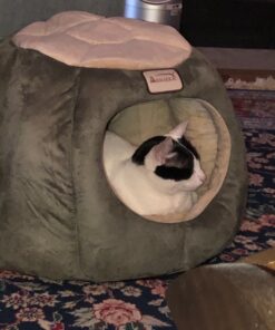 Armarkat Cat Bed, Laurel Green and Beige 42 81Bj6zHJIbL