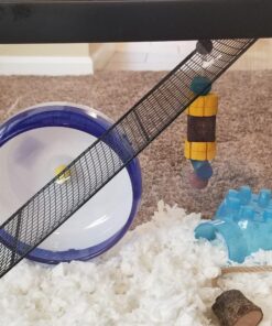 Kaytee Perfect Chew Hamster 21 81BjcLZ7r5L