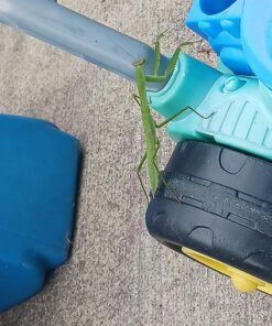 Praying Mantis Egg Case with Hatching Habitat Cup - 2 Praying Mantids Egg Cases 2 Egg Pod Habitat Cup 46 81BmTXdnSJL