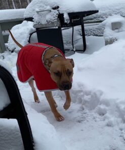 Zack & Zoey Nor'Easter Blanket Coat, X-Large, Red 1 34 81BnfQPpopL 1