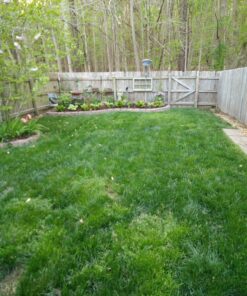 Michigan Peat 40 Pound Garden Magic Compost and Manure with Odor Free Blend and Naturally Moist and Fibrous for Lawn and Garden 40-Pound 13 81Boj4owAAL