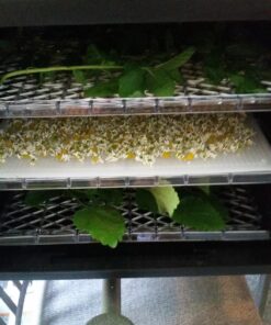 Ivation 6 Tray Countertop Digital Food Dehydrator Drying Machine 480w with Preset Temperature Settings, Auto Shutoff Timer and Even Heat Circulation for Beef Jerky, Fruits, Vegetables & Nuts 6 Tray - Standard 52 81BpWimM0eL