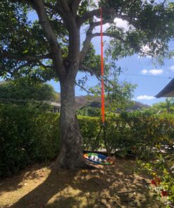 Tree Swing Hanging kit Straps, (Set of 2) Extra Long 10tf Each. Super Strong 5,000lbs + 2 Carabiners. for Swing Sets, Web Swings, Hammock & Tire Swing 44 81BpXJKcyHL