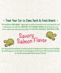 FELINE GREENIES Natural Dental Care Cat Treats Savory Salmon Flavor, 2.1oz. Pouch 19 81BrPI4wrjL