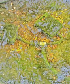 TetraPond Submersible Flat Box Filter, For 250 To 500 Gallon Ponds 41 81BthUd5GJL