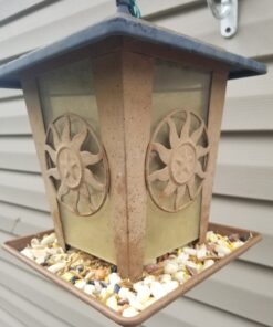 Lyric Fruit and Nut Wild Bird Seed - High Energy Wild Bird Food Mix - Attracts Woodpeckers, Chickadees & Other Songbirds - 5 lb bag 5.00 Pound (Pack of 1) 48 81BtvioDsvL