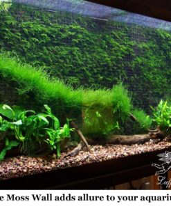 Luffy Decorative Wall or Floor Mesh Kit, 2 Pieces 26 81BwlaWOTfL