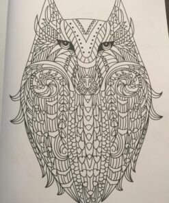 Adult Coloring Book: Stress Relieving Animal Designs 45 81BwoaRafnL