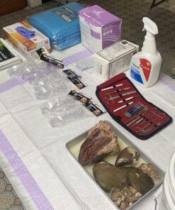 Advanced Dissection Kit Biology Lab Anatomy Dissecting Set with Stainless Steel Scalpel Knife Handle Blades for Medical Students and Veterinary by InstaSkincare 54 81Bx9jOstL